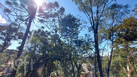 Image 32 - 272430